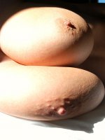 Titties titties and more titties Kelly shows you her tits in all different ways.